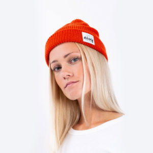 backdoor_grindelwald_ski_snowboard_eivy_rib_beanie_rustic_1-683×1024